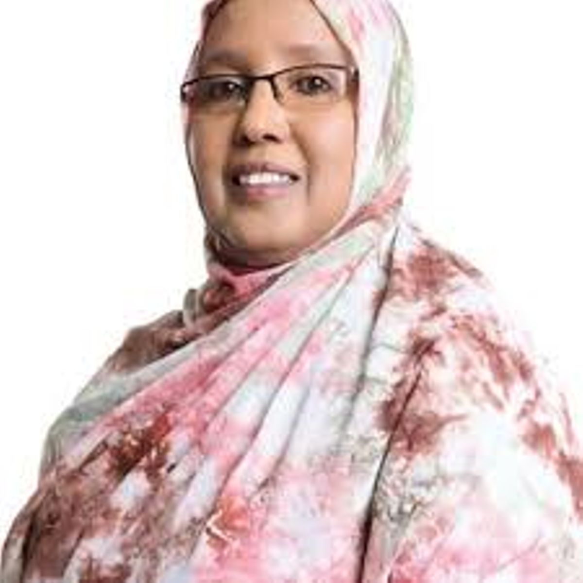 MP's idea to government on how to deal with Al-Shabaab